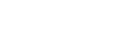 Spaenaur Logo