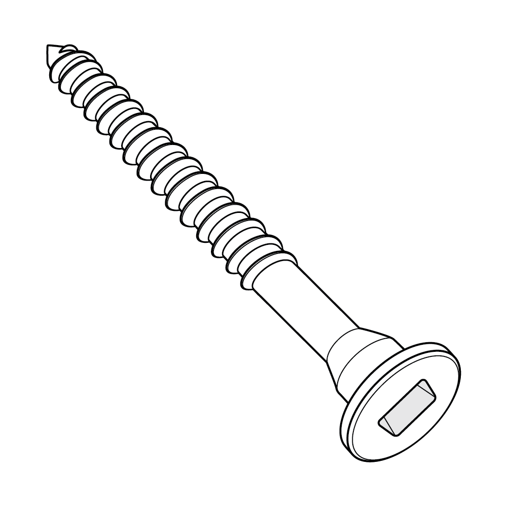 Lag Screws — Spaenaur - Fasteners Right Now