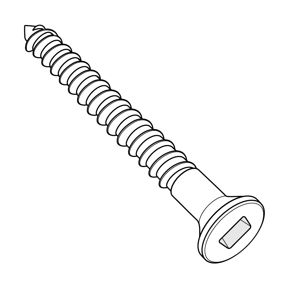 Wood Screws — Spaenaur - Fasteners Right Now