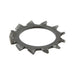 External tooth Flat Lockwasher Size M16 (16.5 ID x 26 OD x 1.2 TH) Steel Plain DIN 6797A/ST M16 by Spaenaur Inc.