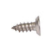 Tapping Screw, Flat Head Security Phillips Drive, Type A, #10 x 2-1/2" Length, Stainless Steel by Spaenaur Inc.
