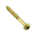 Wood Screw, Round Head, Square Socket, #8 x 1" Length, Brass, ASME/ANSI B18.6.1 by Spaenaur Inc.