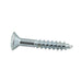 Wood Screw, Oval Head, Phillips, #6 x 3/4" Length, Steel Zinc Plated, ASME/ANSI B18.6.1 by Spaenaur Inc.