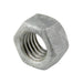 Écrou hexagonal, taraudé surdimensionné 1/4"-20 UNC (7/16" A/F, 7/32" THK) Acier galvanisé à chaud par Spaenaur Inc.