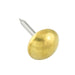 Furniture Nail, High Crown Round HD 3/8" DIA Head x 1/2" Shank Brass Plain by Spaenaur Inc.
