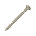 Common Nail, Annular Ring Shank 11 GA x 2" LONG 316 Stainless Steel by Spaenaur Inc.