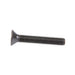 Security Screw, Button Head Torx TR25 Drive, #10-32 UNF x 1" Length, Steel Plain by Spaenaur Inc.