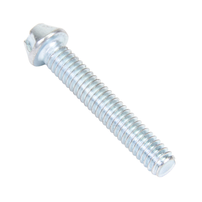 Security Screw, Button Head Torx TR30 Drive, M6 x 25 mm Length, Stainless Steel by Spaenaur Inc.
