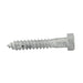 Lag Screw, Hex Head, 3/4" x 6" Length, Steel Hot Dip Galvanized by Spaenaur Inc.