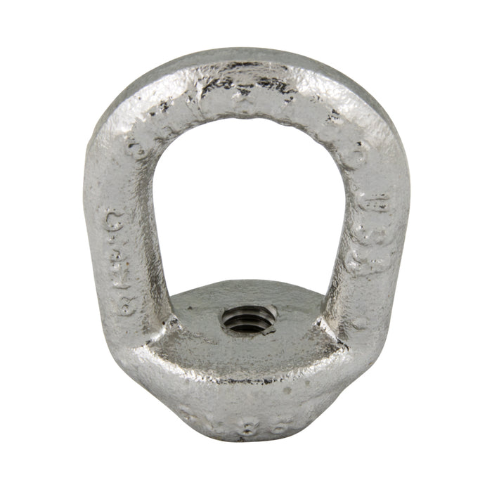 Écrou à œil ovale forgé à la matrice - pour le levage, 1/4"-20, acier inoxydable, de Spaenaur Inc.