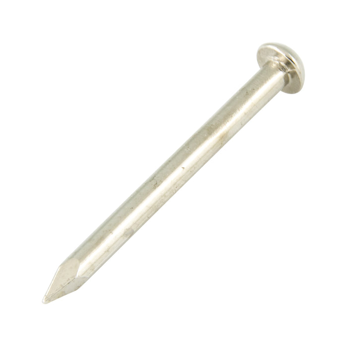 Escutcheon Pin #14 GA (.083") x 1" LG Brass Nickel Plated