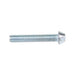 Security Screw, Button Head Torx TR30 Drive, M6 x 25 mm Length, Stainless Steel by Spaenaur Inc.