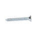 Tapping Screw, Flat Head Security Hex Socket Drive, #10 x 1" Length, Steel Zinc Plated by Spaenaur Inc.