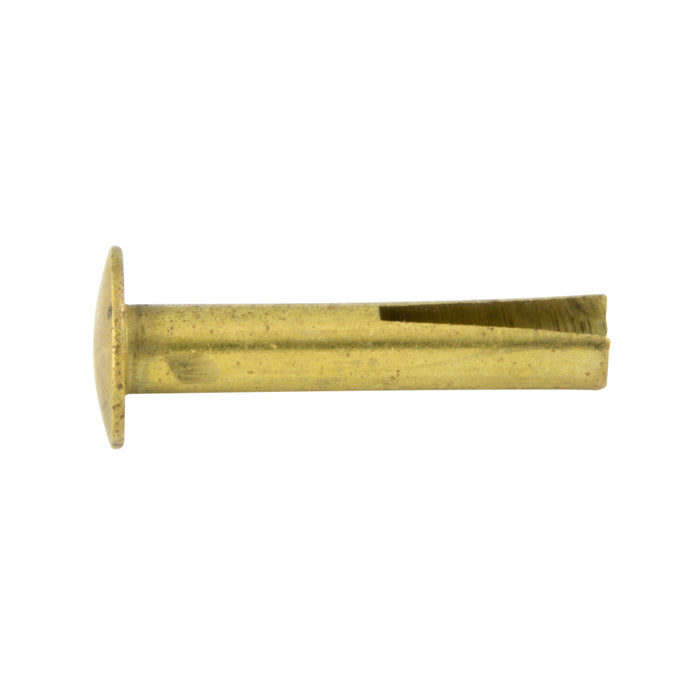 Rivet fendu à tête ovale 9/64 po de diamètre x 1/2 po de longueur x 5/16 po de diamètre de tête, en laiton, sans finition, de Spaenaur Inc.