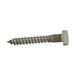 Lag Screw, Hex Head, 3/4" x 10" Length, Steel Plain by Spaenaur Inc.