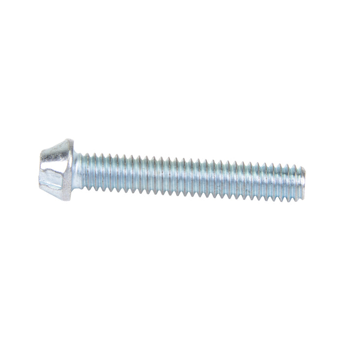 Security Screw, Button Head Torx TR30 Drive, M6 x 30 mm Length, Stainless Steel by Spaenaur Inc.