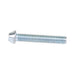 Security Screw, Button Head Torx TR30 Drive, M6 x 30 mm Length, Stainless Steel by Spaenaur Inc.