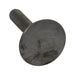 Elevator Bolt, Large Head, 1/4"-20 x 1-1/4" Length, Steel Plain Grade 5, ASME/ANSI B18.5 by Spaenaur Inc.