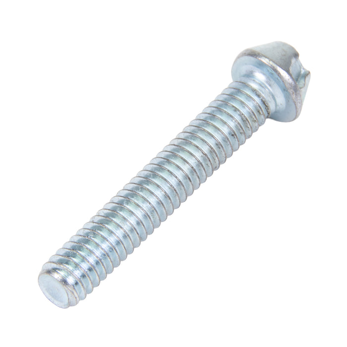 Security Screw, Button Head Torx TR30 Drive, M6 x 25 mm Length, Stainless Steel by Spaenaur Inc.