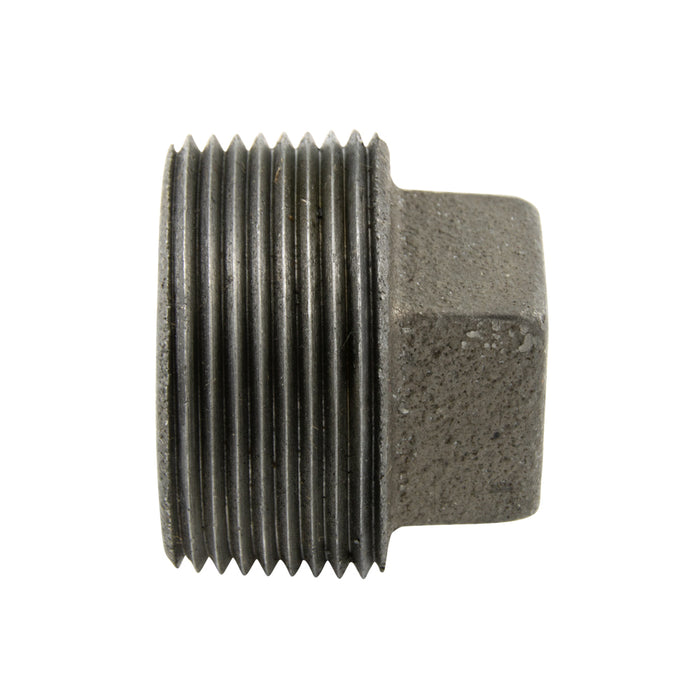 Deep Reach Magnetic Plug Assembly, 3-Disc Magnet Style, 1"-11 1/2 NPTF x 4-1/4" O/A LGTH Ceramic I Magnets, Cast Iron Body