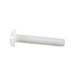 Machine Screw, Binding Head, Slotted Drive, #6-32 UNC x 3/4" Length, Nylon Natural by Spaenaur Inc.