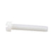 Machine Screw, Fillister Head, Slotted Drive, #10-24 UNC x 1/4" Length, Nylon Natural by Spaenaur Inc.