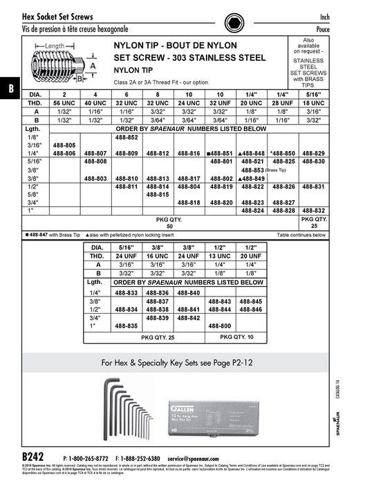 Hex Socket Set Screw W/ Nylon Tip 1/4"-28 UNF x 5/16" LG 303 SS