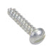 Tapping Screw, Round Head Slotted Drive, Type AB, #10 x 1" Length, Steel Zinc Plated by Spaenaur Inc.