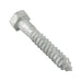 Lag Screw, Hex Head, 3/4" x 6" Length, Steel Hot Dip Galvanized by Spaenaur Inc.