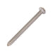 Tapping Screw, Button Head Security Hex Socket Drive, Type AB, #8 x 2" Length, Stainless Steel by Spaenaur Inc.