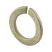 Bowed Split Lockwasher DIN 128A M18 Spring Steel Yellow Zinc Plated DIN 128A/ST-YZ M18 by Spaenaur Inc.