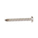 Tapping Screw, Pan Head Slotted Drive, Type AB, #4 x 3/4" Length, Stainless Steel by Spaenaur Inc.