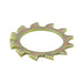 Rondelle frein à denture externe DIN 6797A M2,6 (2,8 ID x 5,5 OD x 0,4 TH) Acier au carbone Traitement thermique Zinc jaune DIN 6797A/ST-YZ M2,6 par Spaenaur Inc.