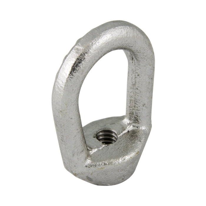 Écrou à œil ovale forgé à la matrice - pour le levage, 1/4"-20, acier inoxydable, de Spaenaur Inc.