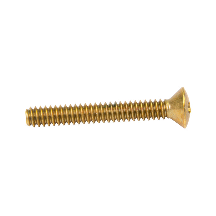 Security Screw, Flat Head Spanner Drive, 1/4"-20 UNC x 1/2" Length, Stainless Steel by Spaenaur Inc.