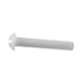 Machine Screw, Round Head, Slotted Drive, #4-40 UNC x 5/16" Length, Nylon Natural by Spaenaur Inc.