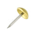 Furniture Nail, High Crown Round HD Head DIA 14mm, Shank L 15mm Brass Plain by Spaenaur Inc.
