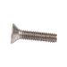 Security Screw, Pan Head Security Phillips Drive, 1/4"-20 UNC x 1-1/4" Length, Stainless Steel by Spaenaur Inc.