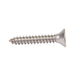 Tapping Screw, Flat Head Security Hex Socket Drive, #14 x 1" Length, Stainless Steel by Spaenaur Inc.