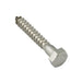 Lag Screw, Hex Head, 3/8" x 5, Stainless Steel by Spaenaur Inc.