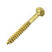 Wood Screw, Round Head, Square Socket, #6 x 1-1/4" Length, Brass, ASME/ANSI B18.6.1 by Spaenaur Inc.