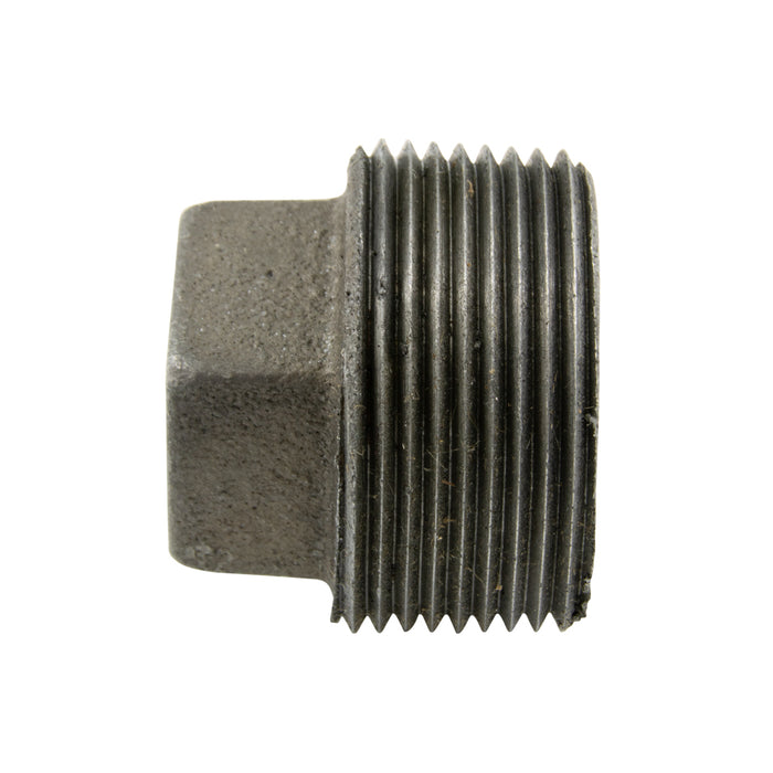Deep Reach Magnetic Plug Assembly, 3-Disc Magnet Style, 1 1/4"-11 1/2 NPTF x 4-11/32" O/A LGTH Ceramic I Magnets, Cast Iron Body by Spaenaur Inc.