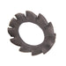 Rondelle frein à denture externe, taille M5 (5,3 ID x 10 OD x 0,6 TH) Acier au carbone traité thermiquement, finition phosphatée noire DIN 6798A/Phos M5(5,3) par Spaenaur Inc.