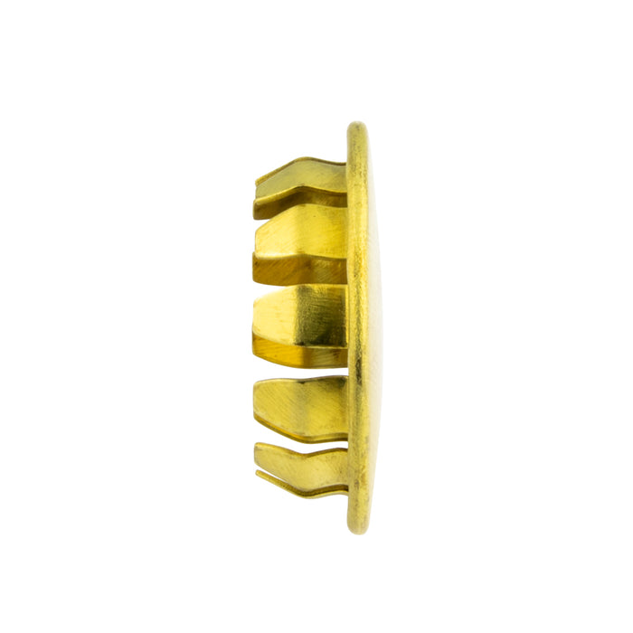 Pronged Plug Button for 5/16" Hole x .020/.062" Panel Brass Plain by Spaenaur Inc.