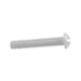 Machine Screw, Round Head, Slotted Drive, #6-32 UNC x 1-3/4" Length, Nylon Natural by Spaenaur Inc.