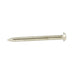 Escutcheon Pin 16 GA x 1" Solid Brass by Spaenaur Inc.