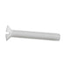 Machine Screw, Oval Head, Slotted Drive, M3 x 0.50 mm UNC x 10 mm Length, Nylon Natural by Spaenaur Inc.