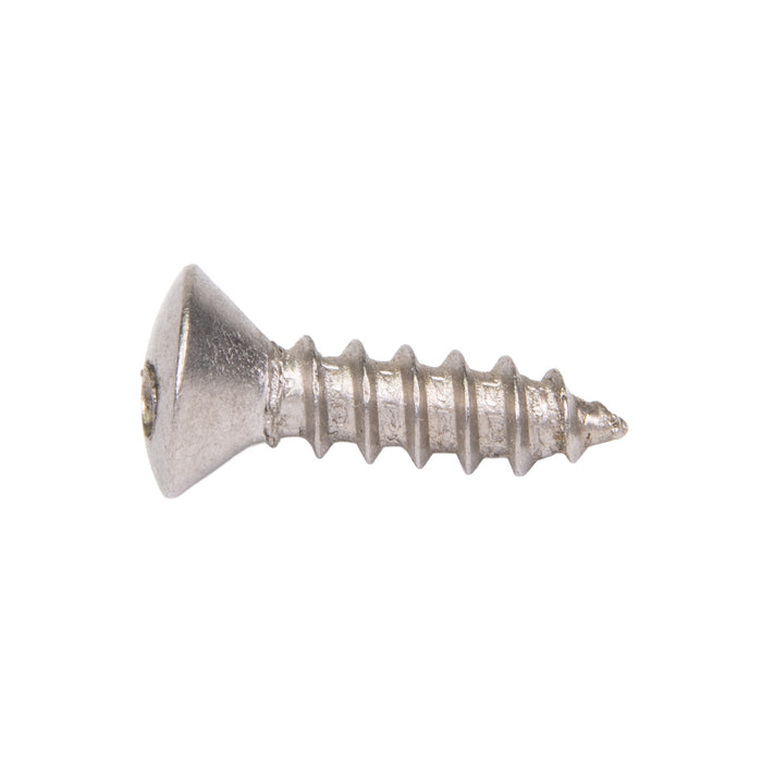 Tamper-Resistant Tapping Screw, Oval Head Spanner Drive, 6A/AB x 1-1/4" Length, Stainless Steel 18-8, Type A or Type AB